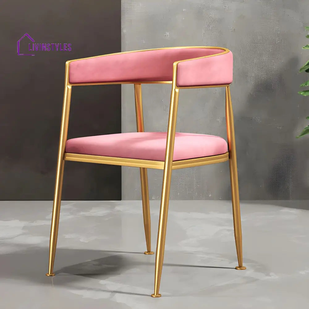Brinda Metal Dining Chair | Stainless Steel