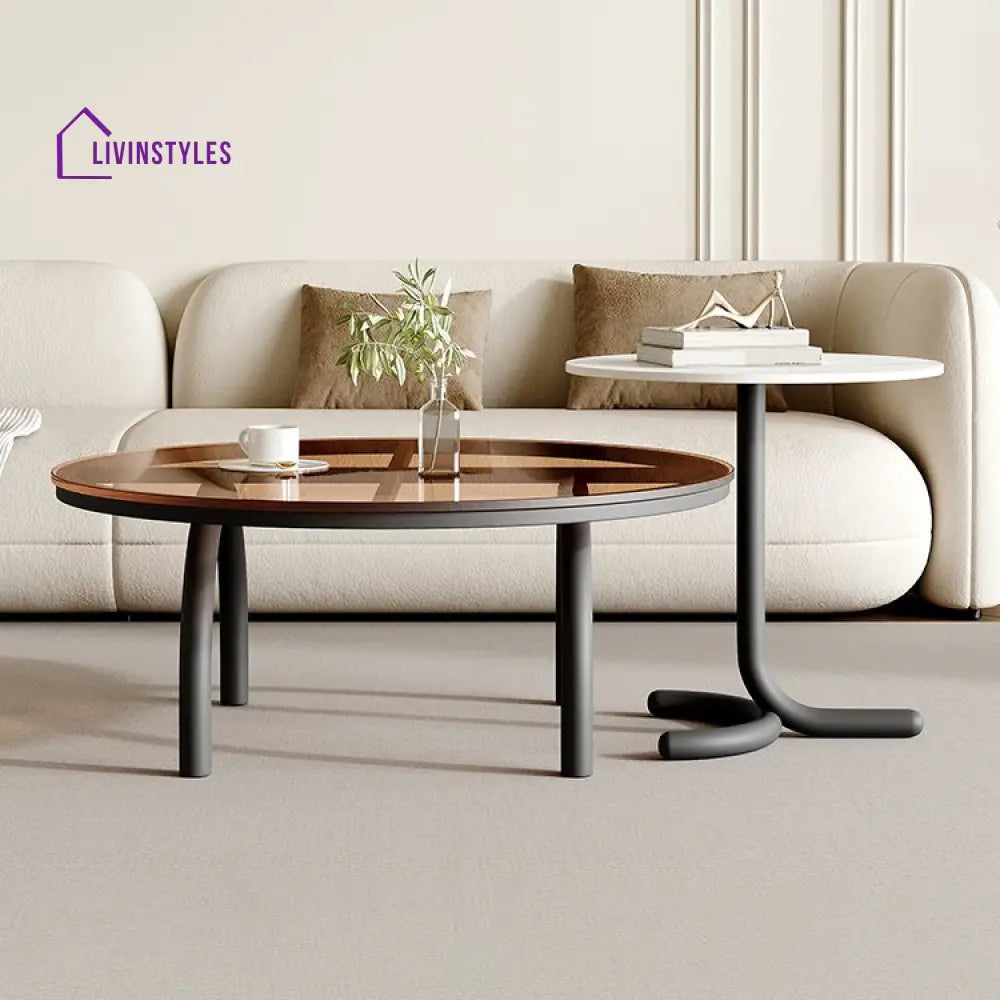 Brinda Stainless Steel Coffee Table for Living Room