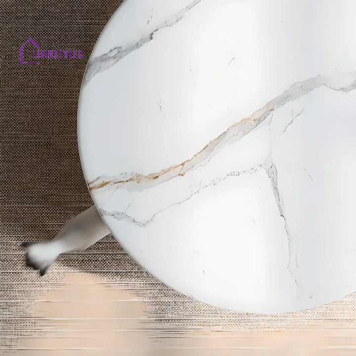 Chaitanya Stainless Steel Coffee Table for Living Room
