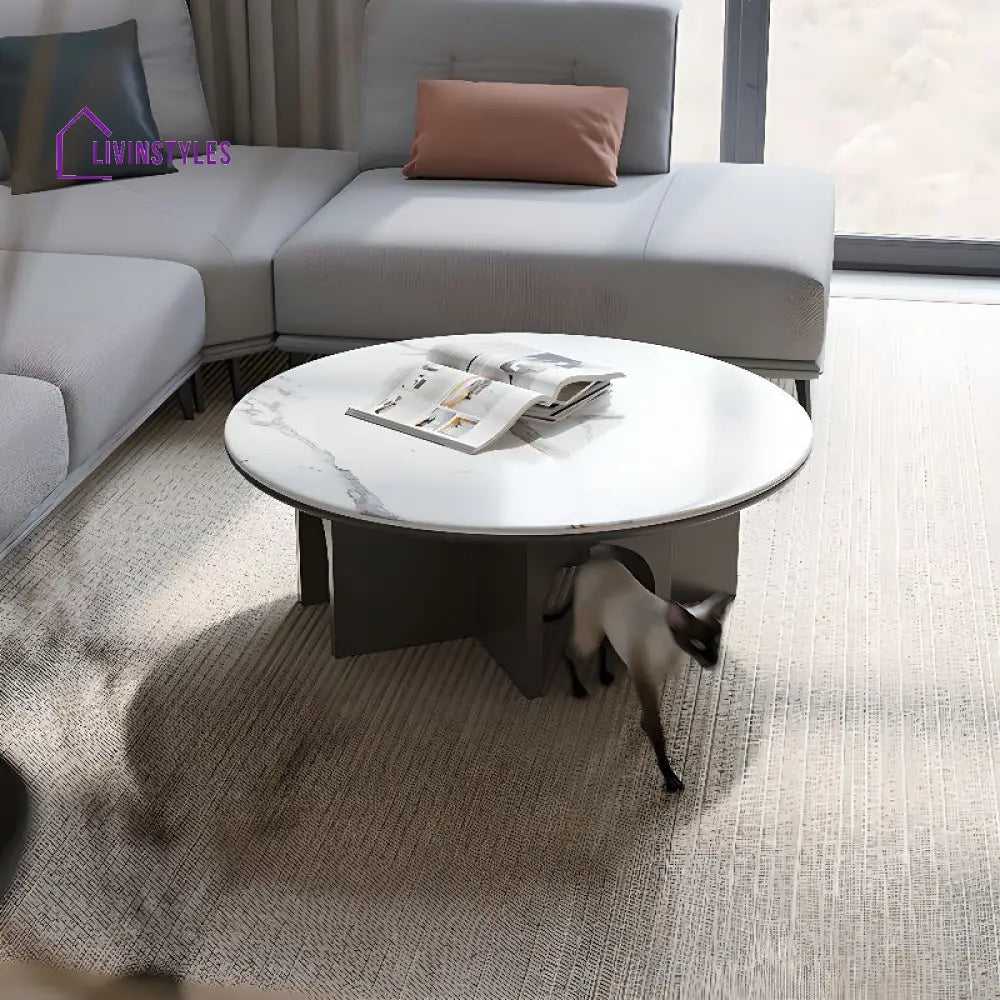 Chaitanya Stainless Steel Coffee Table for Living Room