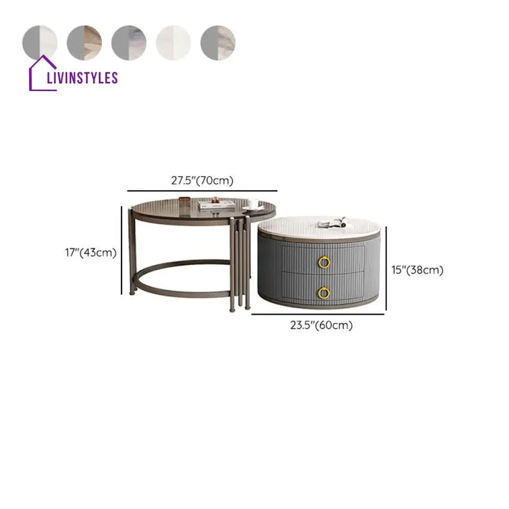 Charulata Stainless Steel Frame Coffee Table for Living Room