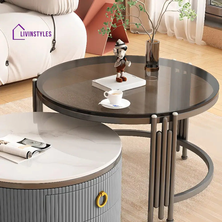 Charulata Stainless Steel Frame Coffee Table for Living Room