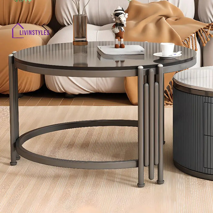 Charulata Stainless Steel Frame Coffee Table for Living Room