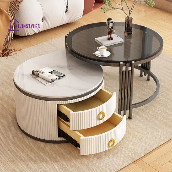 Charulata Stainless Steel Frame Coffee Table for Living Room