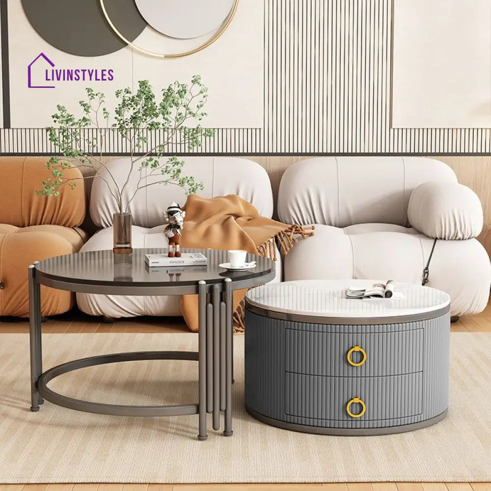 Charulata Stainless Steel Frame Coffee Table for Living Room
