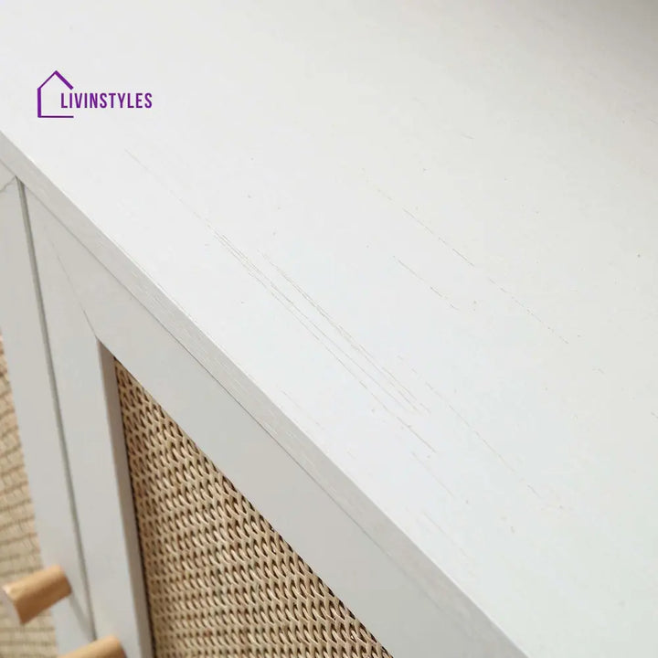 Frances Woven Rattan Bookcase with Doors White Bookcases & Shelves