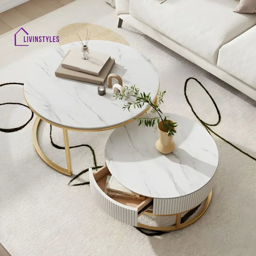 Chirag White Top Ceramic Marble and White MDF Frame with Stainless Steel Frame Coffee Table