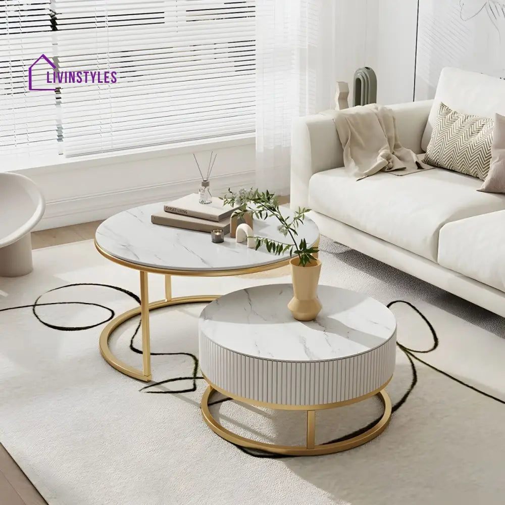 Chirag White Top Ceramic Marble and White MDF Frame with Stainless Steel Frame Coffee Table