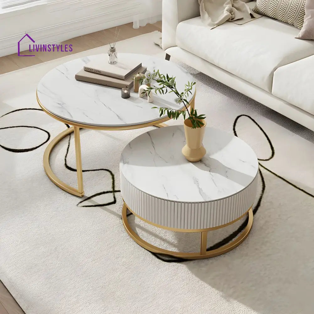 Chirag White Top Ceramic Marble and White MDF Frame with Stainless Steel Frame Coffee Table