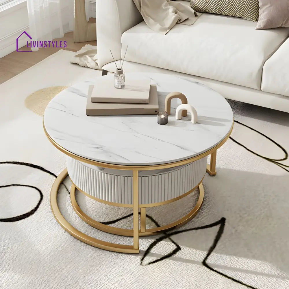 Chirag White Top Ceramic Marble and White MDF Frame with Stainless Steel Frame Coffee Table