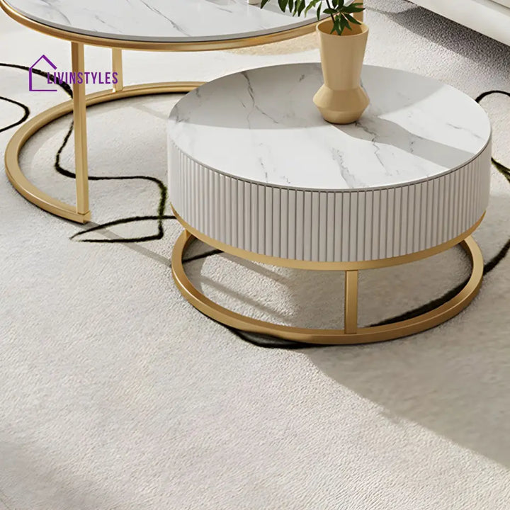 Chirag White Top Ceramic Marble and White MDF Frame with Stainless Steel Frame Coffee Table