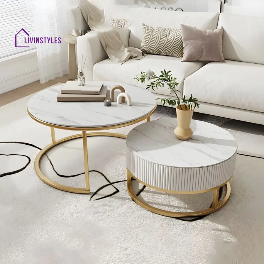 Chirag White Top Ceramic Marble and White MDF Frame with Stainless Steel Frame Coffee Table