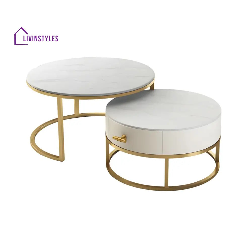 Chirag White Top Ceramic Marble and White MDF Frame with Stainless Steel Frame Coffee Table