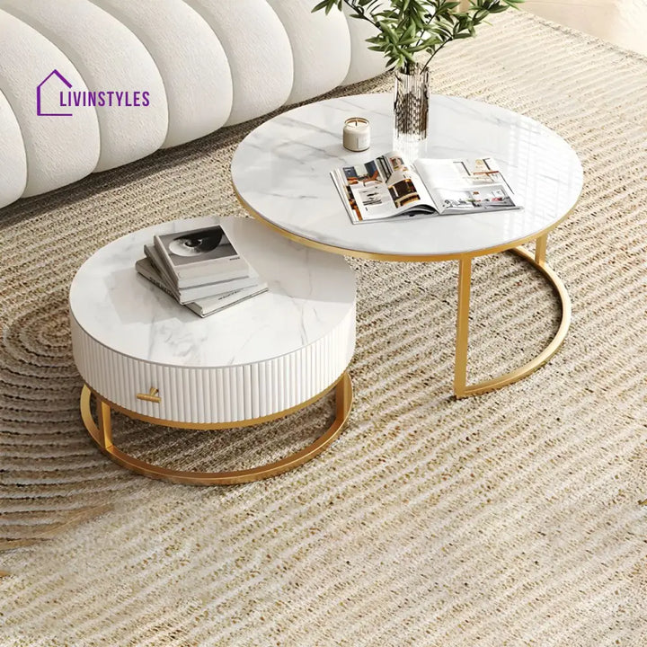 Chirag White Top Ceramic Marble and White MDF Frame with Stainless Steel Frame Coffee Table