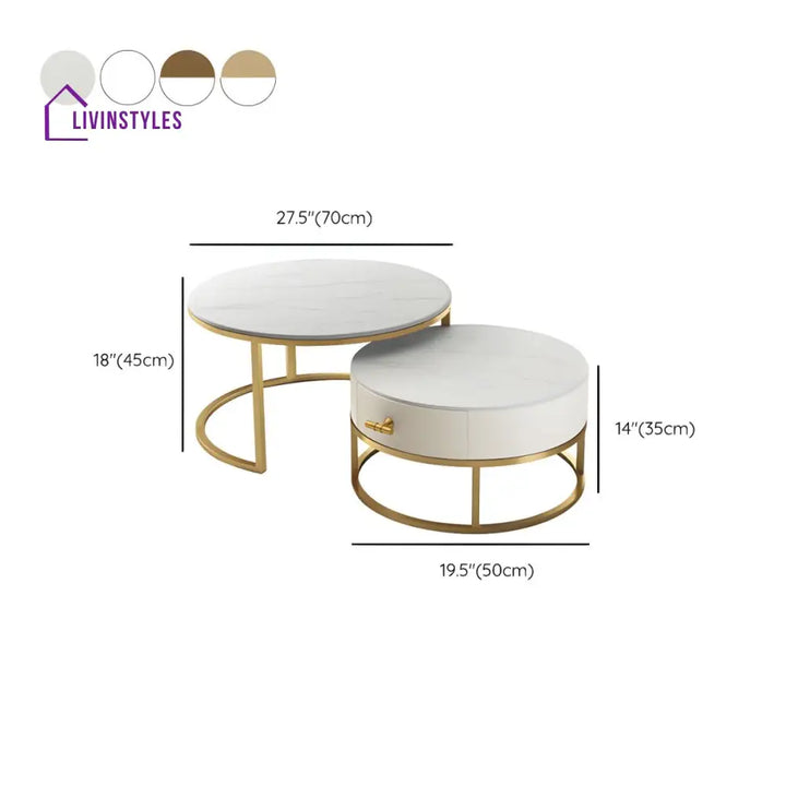 Chirag White Top Ceramic Marble and White MDF Frame with Stainless Steel Frame Coffee Table