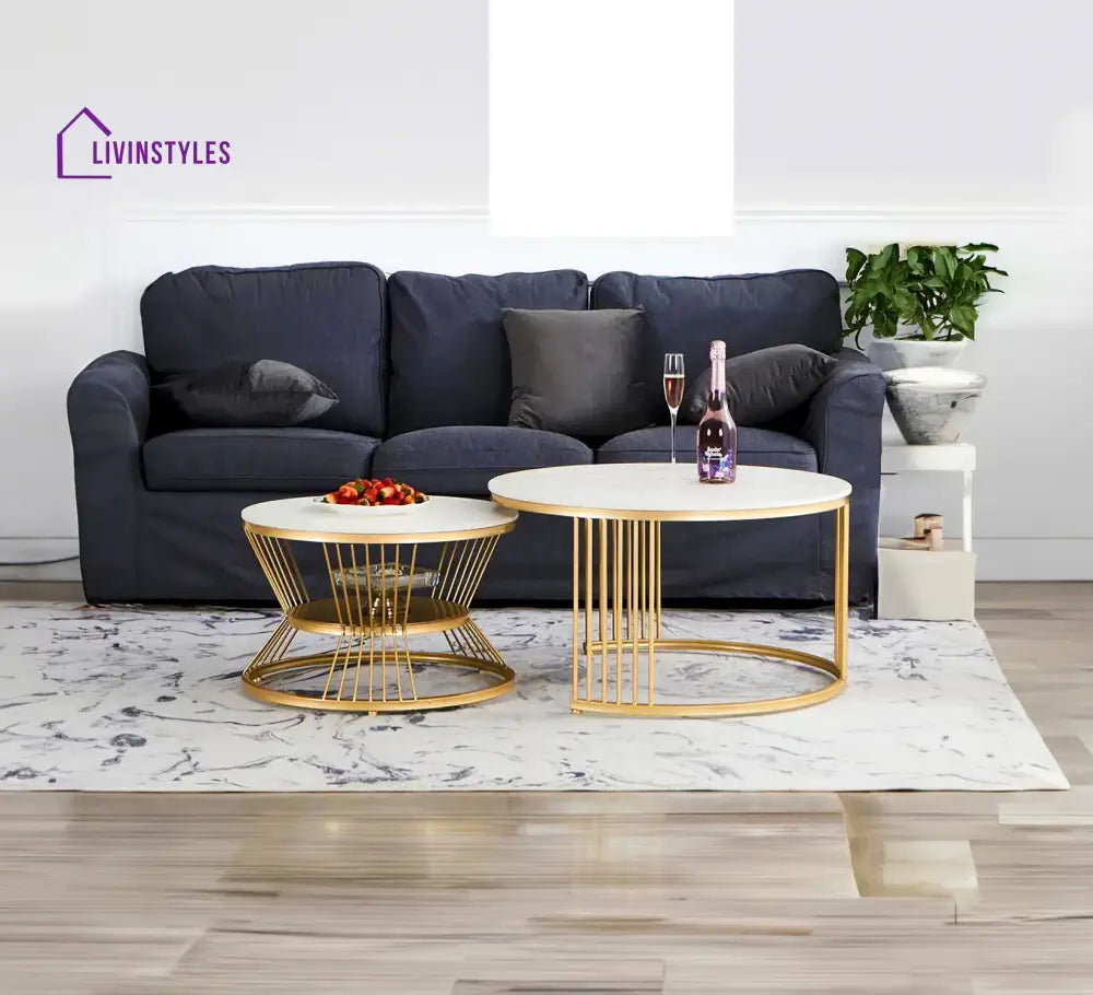 Classic Style Complementing Golden Coffee Table Set of 2 Table