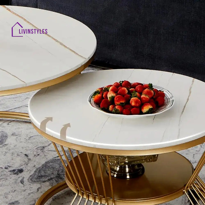Classic Style Complementing Golden Coffee Table Set of 2 Table