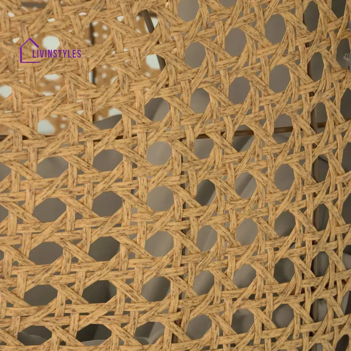 Daniela Egg Swing Chair (Beige and Dark Grey) Swing