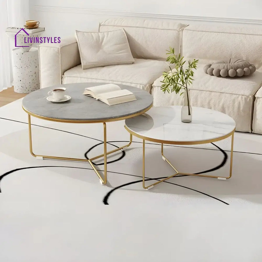 Darsh Stainless Steel Frame Coffee Table for Living Room