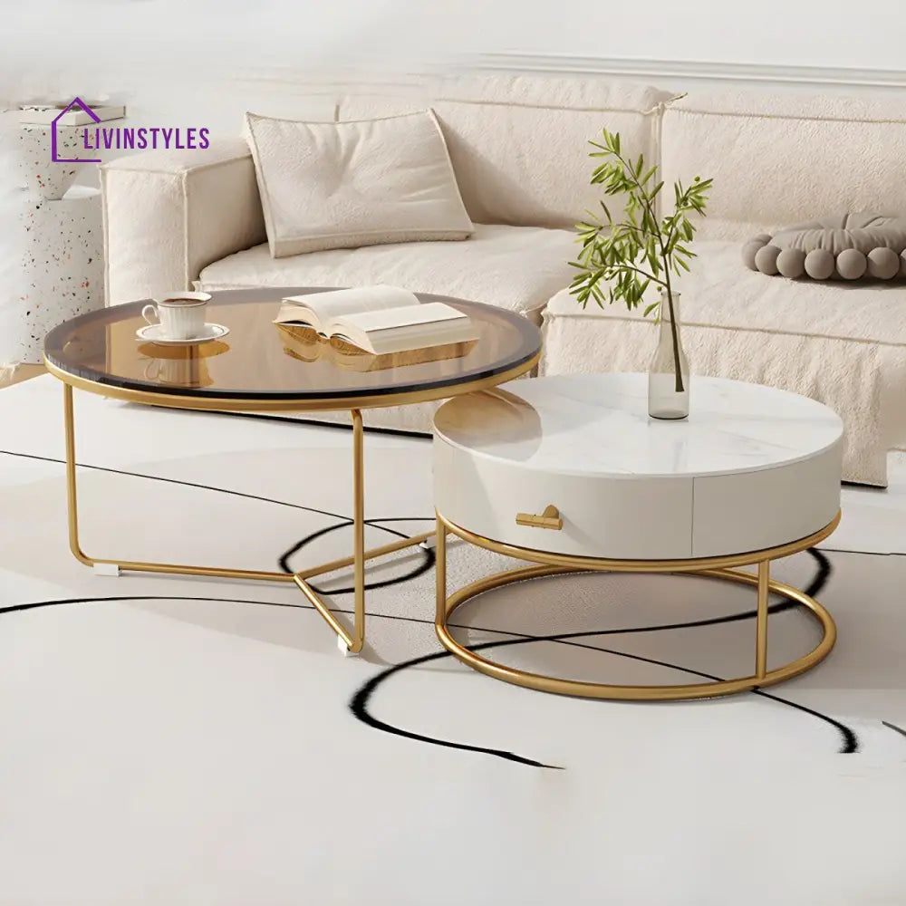 Darsh Stainless Steel Frame Coffee Table for Living Room