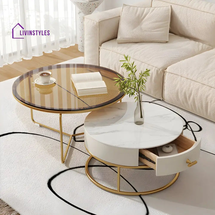 Darsh Stainless Steel Frame Coffee Table for Living Room