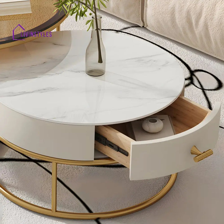 Darsh Stainless Steel Frame Coffee Table for Living Room