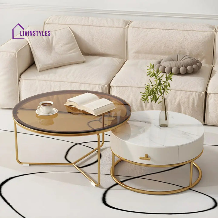 Darsh Stainless Steel Frame Coffee Table for Living Room