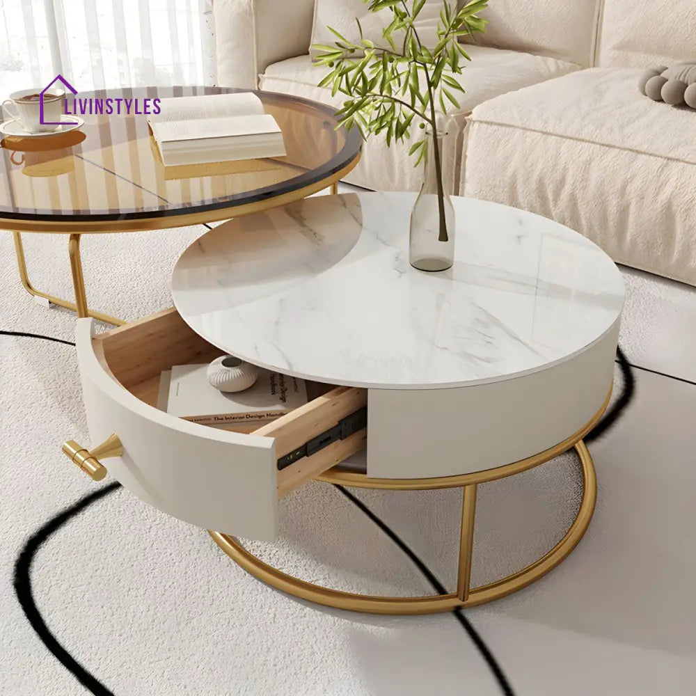 Darsh Stainless Steel Frame Coffee Table for Living Room