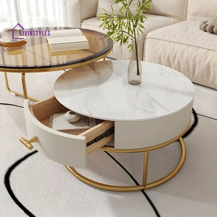 Darsh Stainless Steel Frame Coffee Table for Living Room