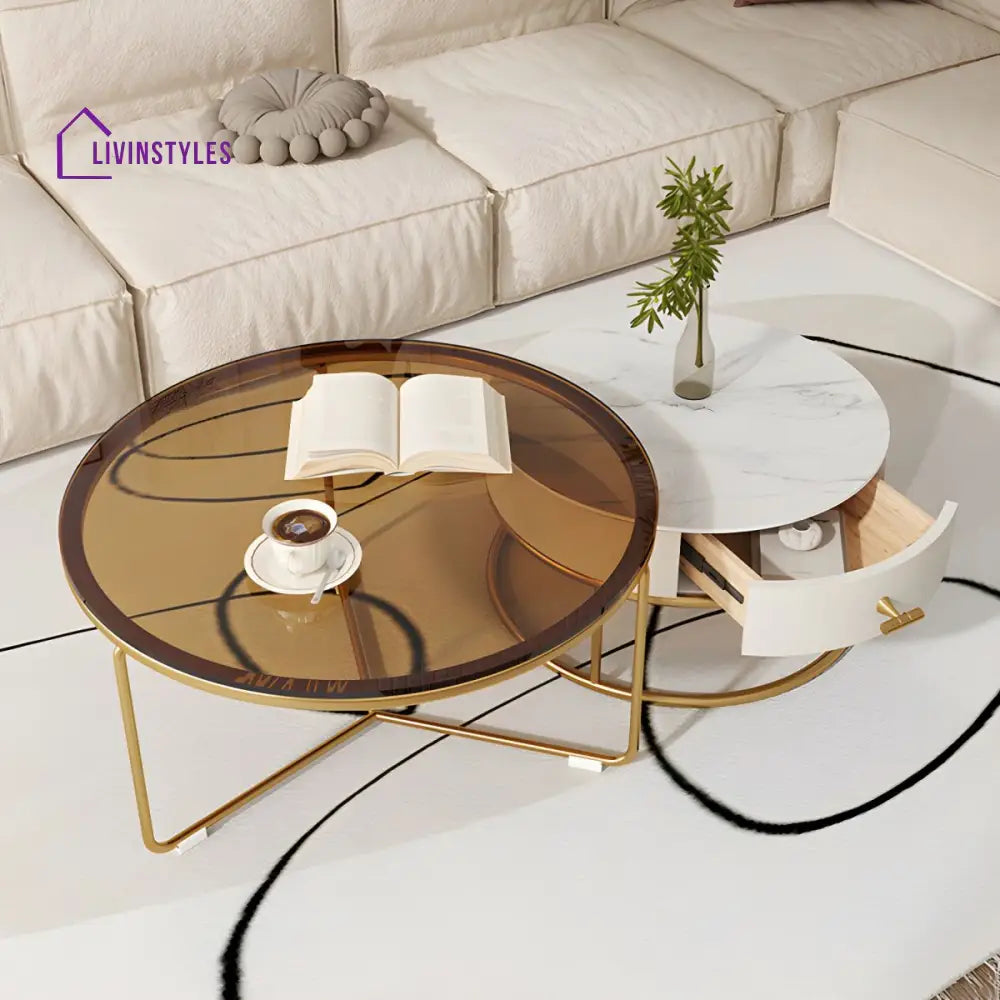 Darsh Stainless Steel Frame Coffee Table for Living Room