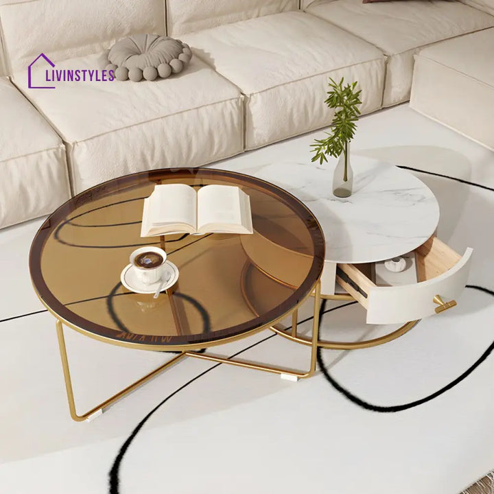 Darsh Stainless Steel Frame Coffee Table for Living Room