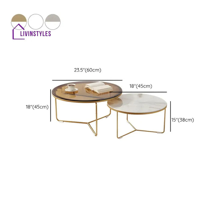 Darsh Stainless Steel Frame Coffee Table for Living Room