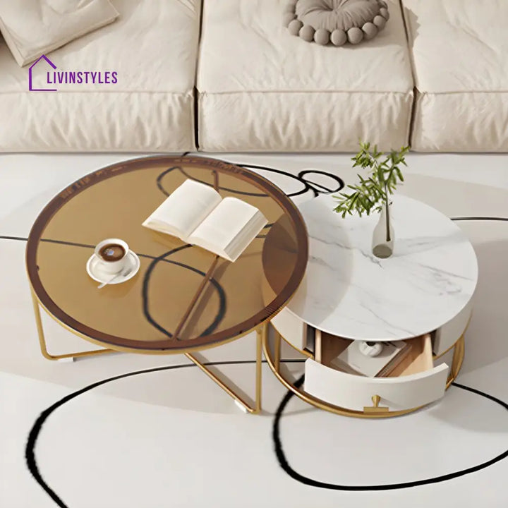 Darsh Stainless Steel Frame Coffee Table for Living Room
