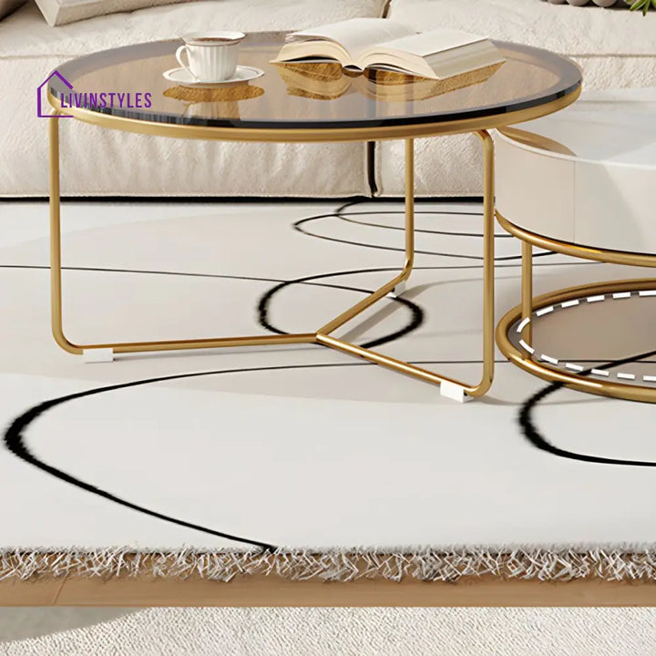 Darsh Stainless Steel Frame Coffee Table for Living Room