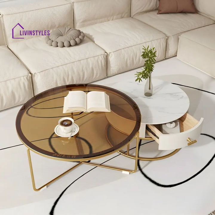 Darsh Stainless Steel Frame Coffee Table for Living Room