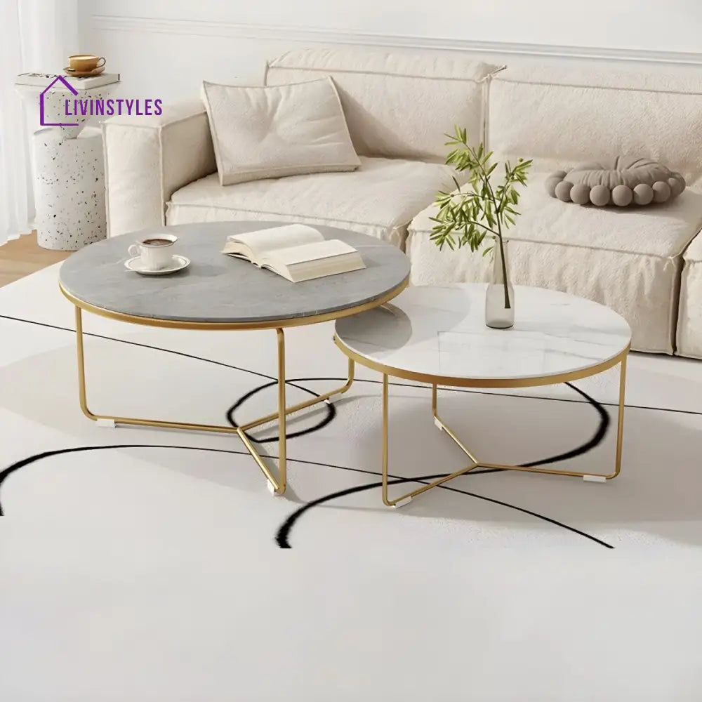 Darsh Stainless Steel Frame Coffee Table for Living Room