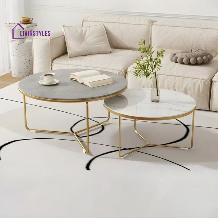 Darsh Stainless Steel Frame Coffee Table for Living Room