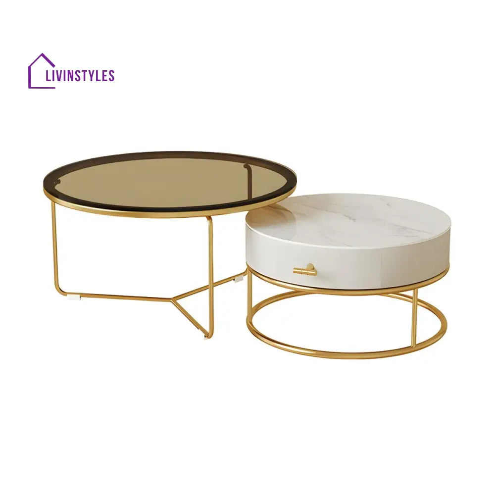 Darsh Stainless Steel Frame Coffee Table for Living Room