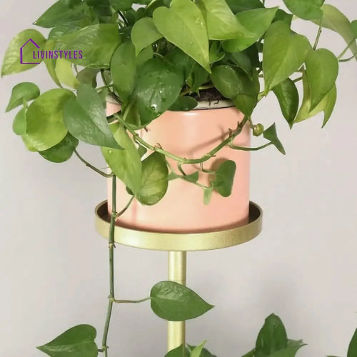 Darshan Metal Plant Stand 4-Shelf Gold For Balcony