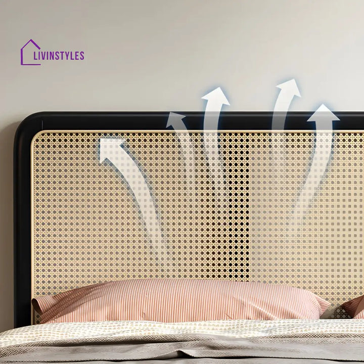 Darshit Solid Wood Bed Without Storage