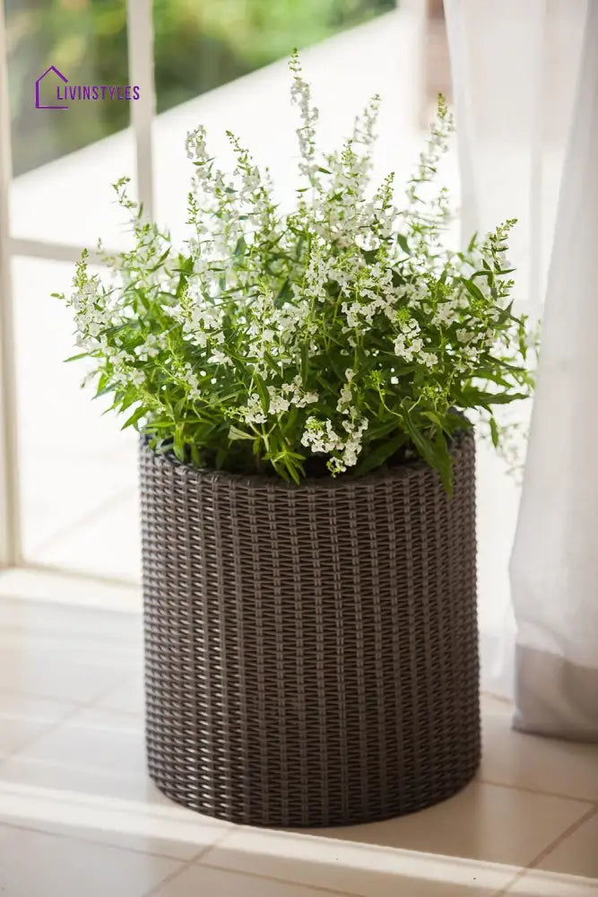 Deni Outdoor Wicker Planters For Garden Balcony Set of 3 (Dark Brown) - Planter