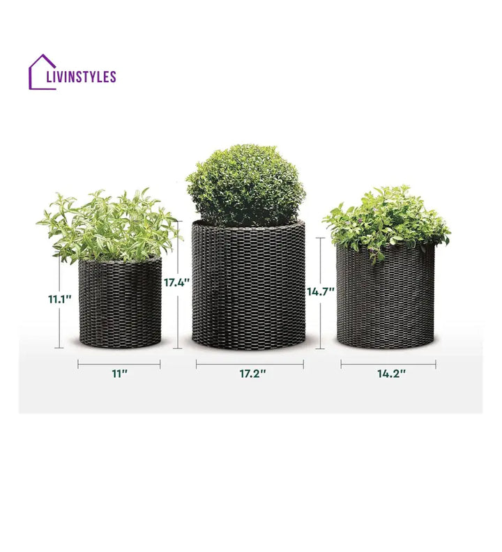 Deni Outdoor Wicker Planters For Garden Balcony Set of 3 (Dark Brown) - Planter