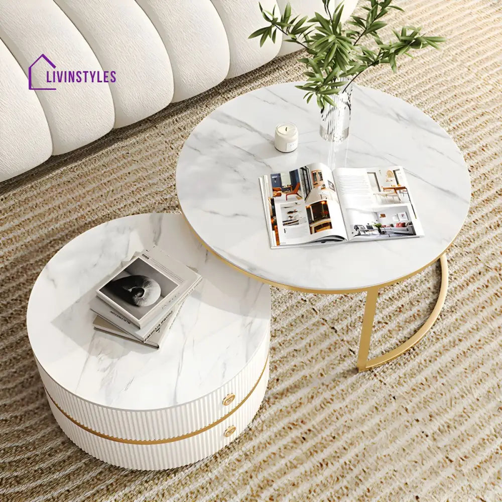 Devansh Stainless Steel Frame Coffee Table for Living Room