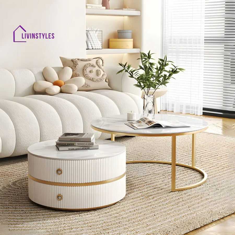 Devansh Stainless Steel Frame Coffee Table for Living Room