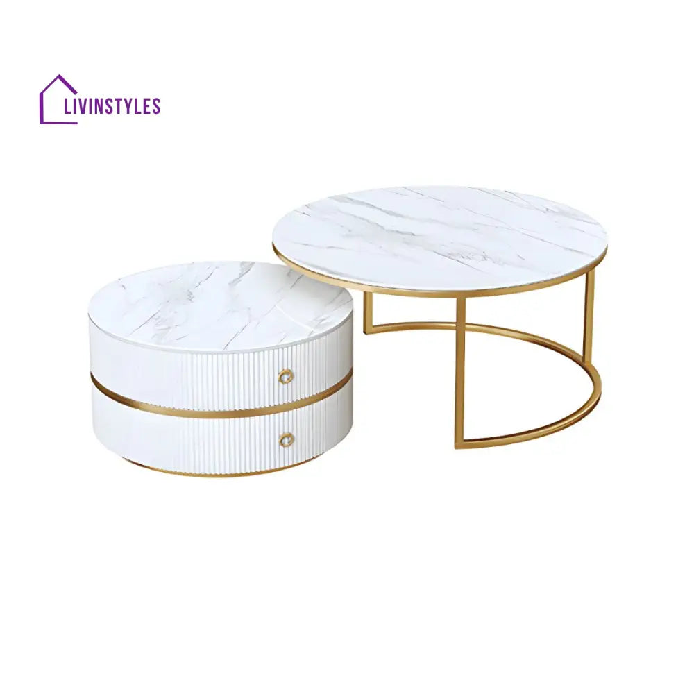 Devansh Stainless Steel Frame Coffee Table for Living Room