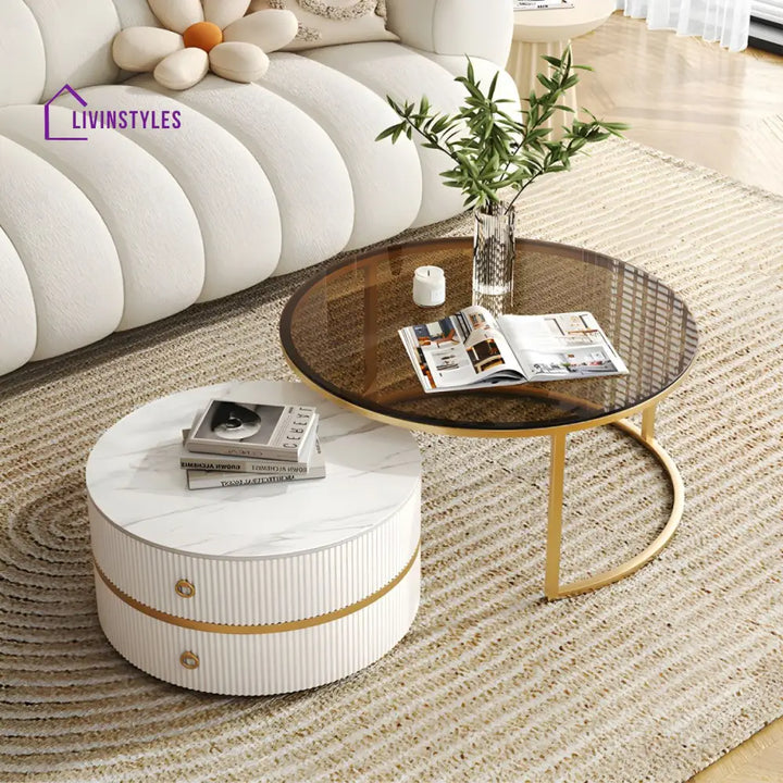 Devansh Stainless Steel Frame Coffee Table for Living Room