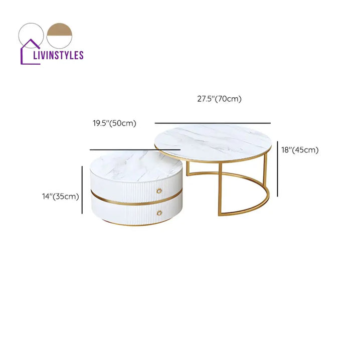 Devansh Stainless Steel Frame Coffee Table for Living Room