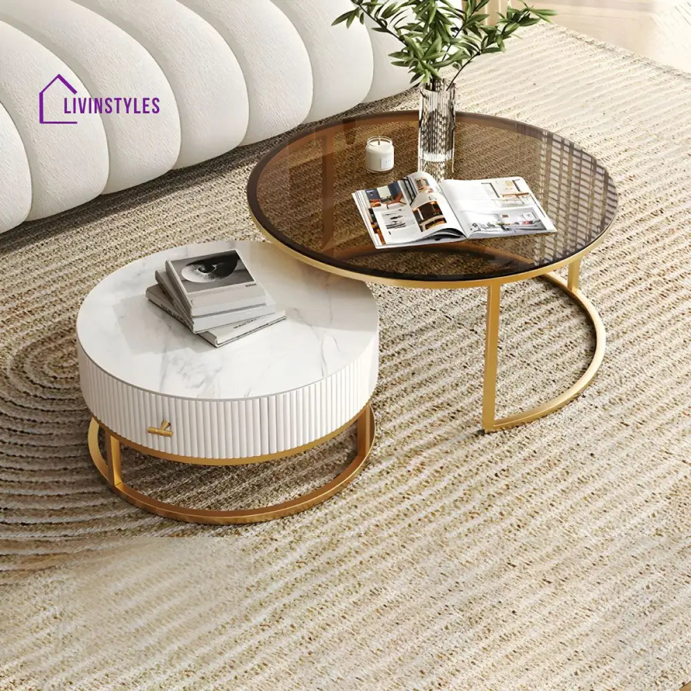 Devansh Stainless Steel Frame Coffee Table for Living Room