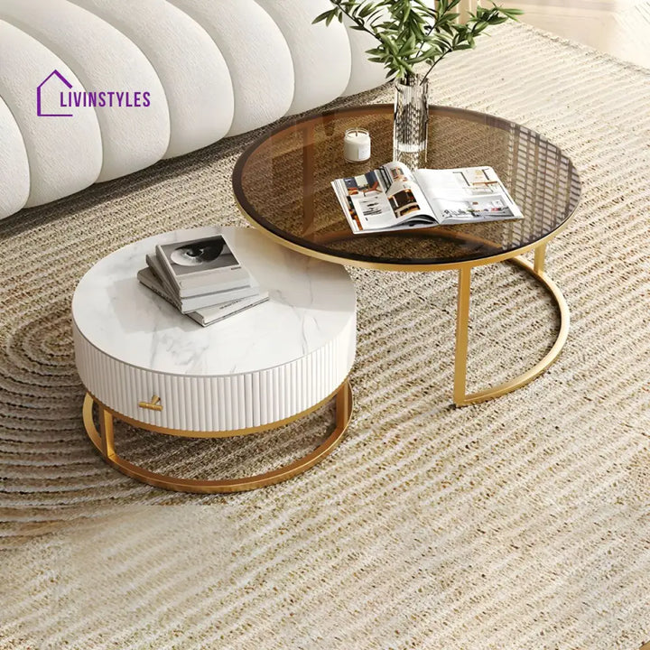 Devansh Stainless Steel Frame Coffee Table for Living Room