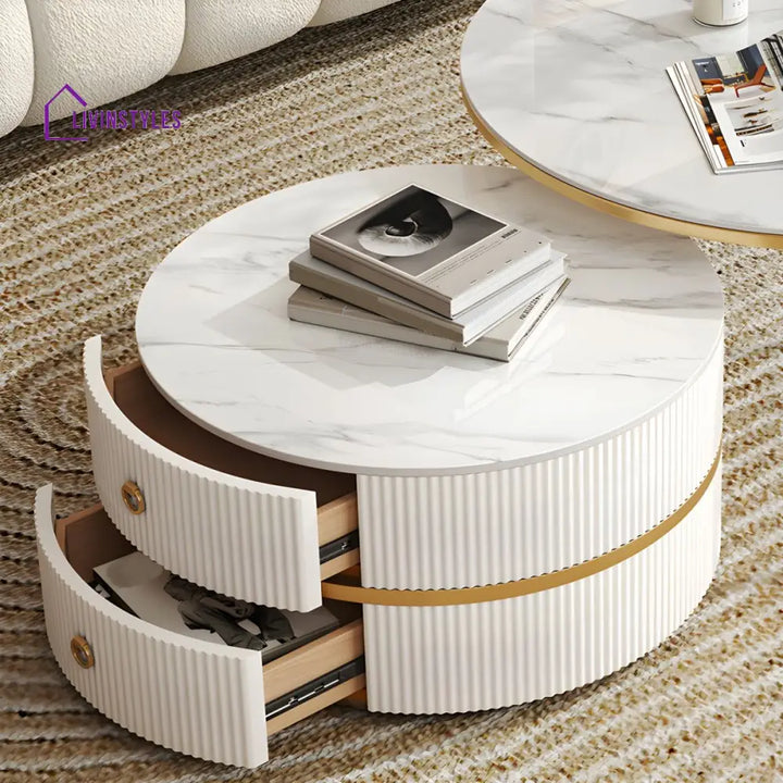 Devansh Stainless Steel Frame Coffee Table for Living Room